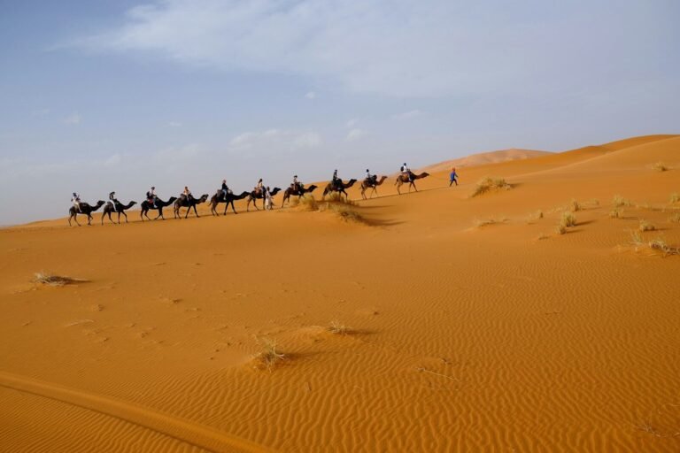 6 days private tour from Casablanca to Marrakech