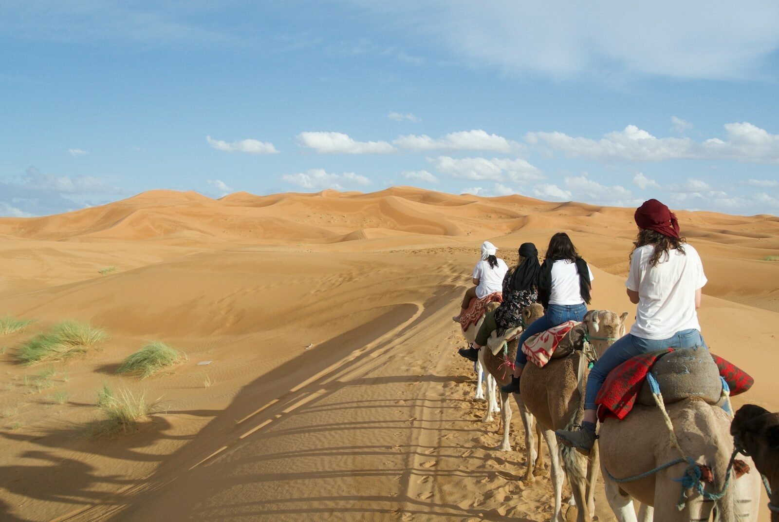 Sahara Desert